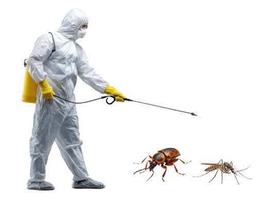 Disinfestazione insetti
